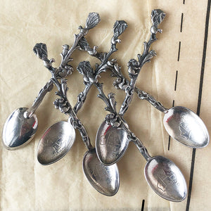 Box Set of Vintage Rodd Teaspoons featuring Australian Animals including a Koala, Kookaburra, Iguana and a Peacock